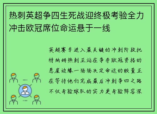 热刺英超争四生死战迎终极考验全力冲击欧冠席位命运悬于一线